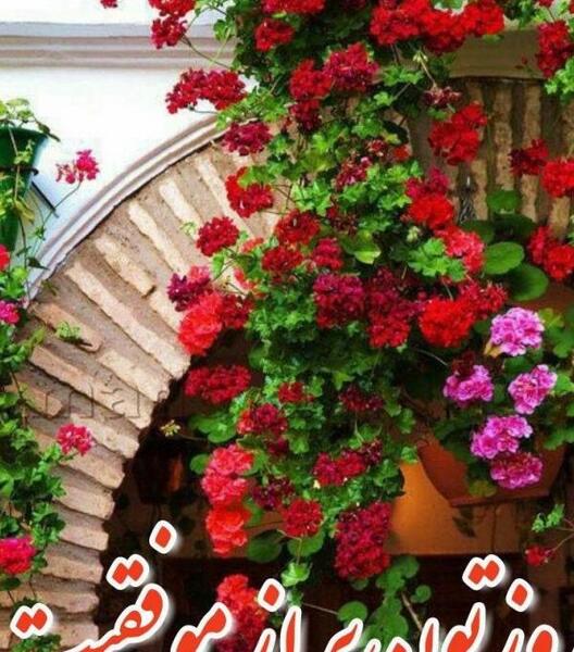عکس سلام ظهر بخیر کودکانه