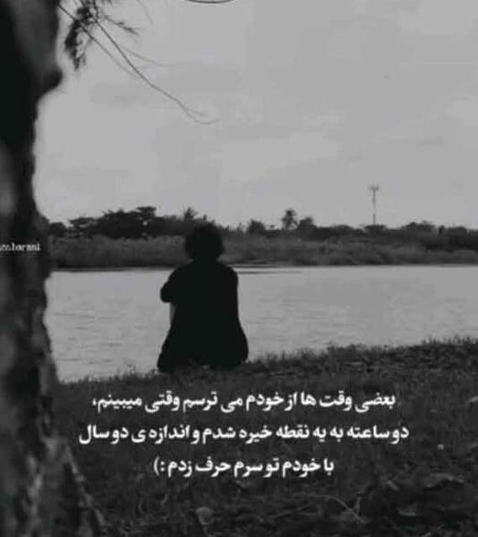 عکس باب اسفنجی تک