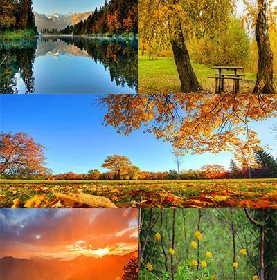عکس های ساره بیات با کیفیت بالا