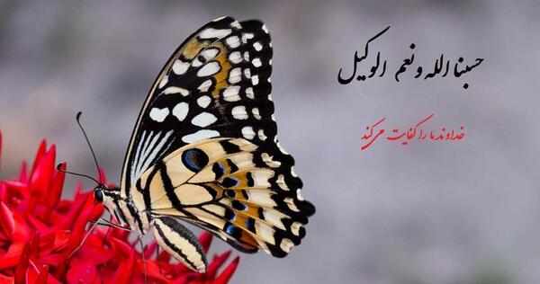 عکس برای پروفایل واتساپ حسبی الله