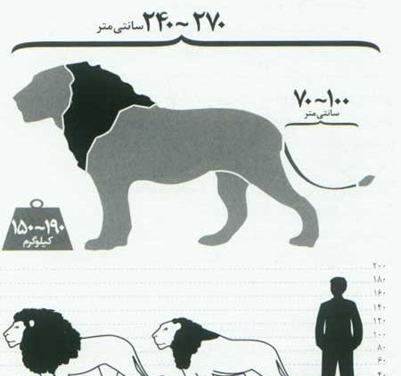عکس ایران ببر