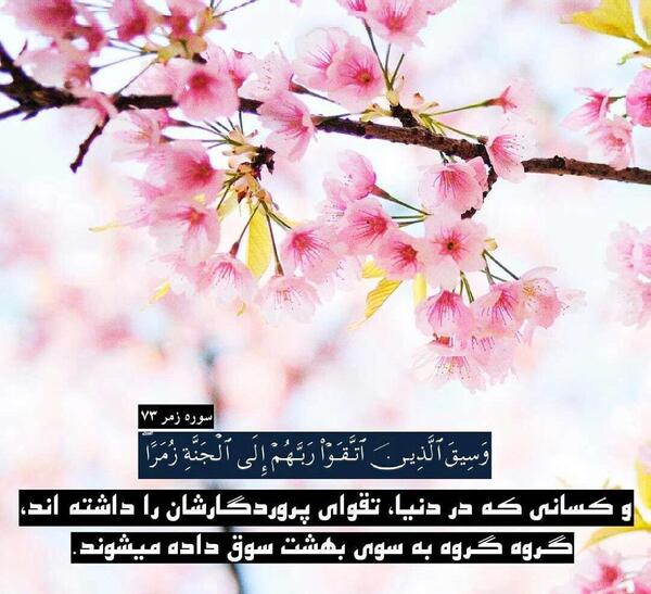 عکس خانه خدا با قران