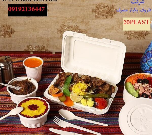 عکس ظرف یکبار مصرف غذا