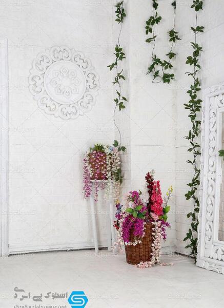 عکس بک گراند آتلیه