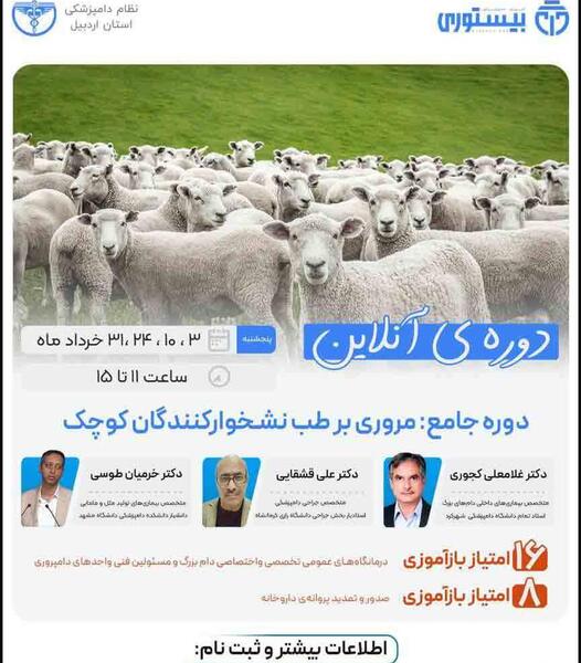 عکس کافه حیوانات