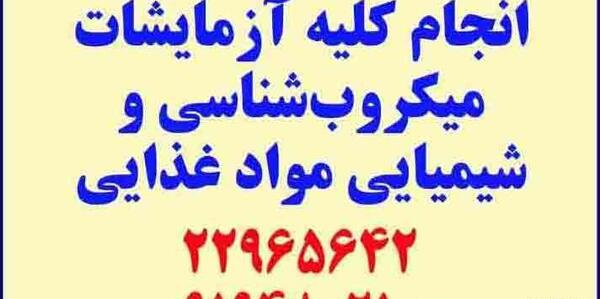 عکس کافه حیوانات