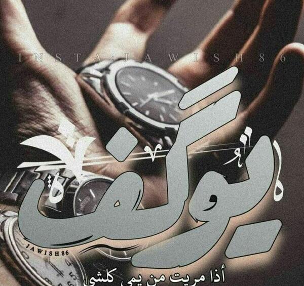 عکس سگ پامر فنجونی