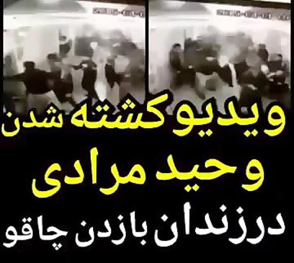 عکس چاقو های وحید مرادی