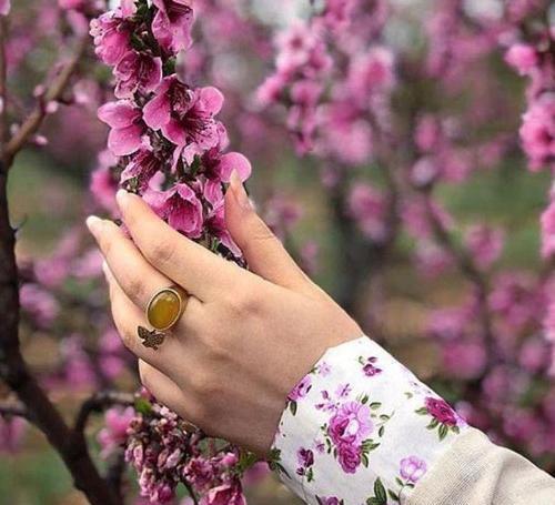 عکس بدون متن در مورد زندگی