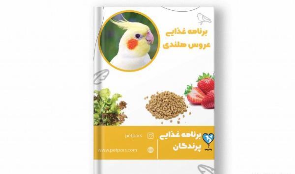 عکس غذای عروس هلندی جوجه