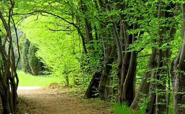 عکس دیدنی نوشهر