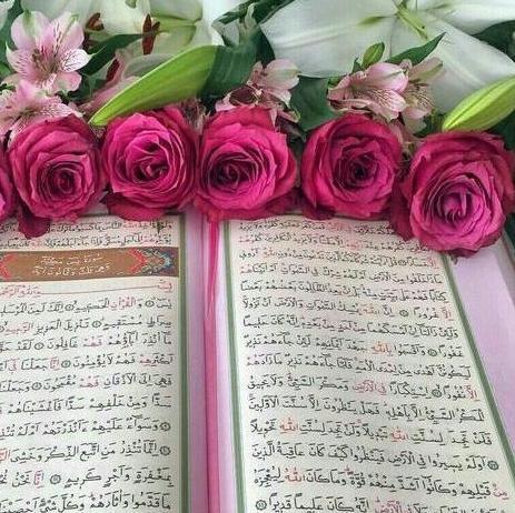 عکسی از قرآن