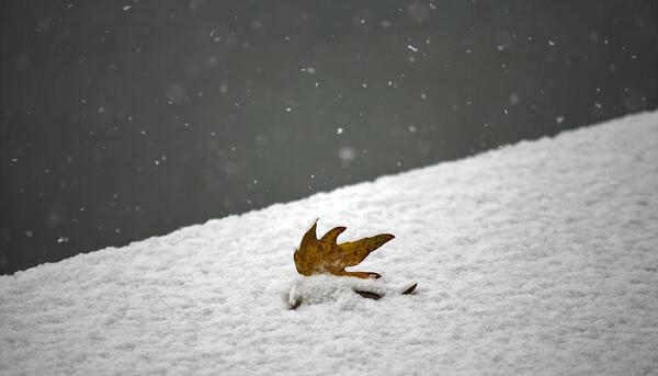 عکس بارش برف تبریز