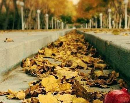 عکس پروفایل دو قدم مانده که پاییز به یغما برود