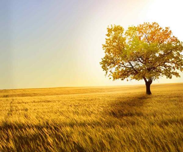 عکس پاییز صندلی