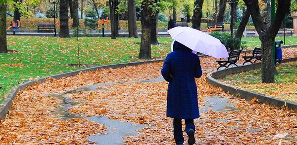 عکس پاییز صندلی