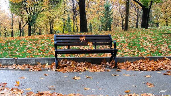 عکس پاییز صندلی