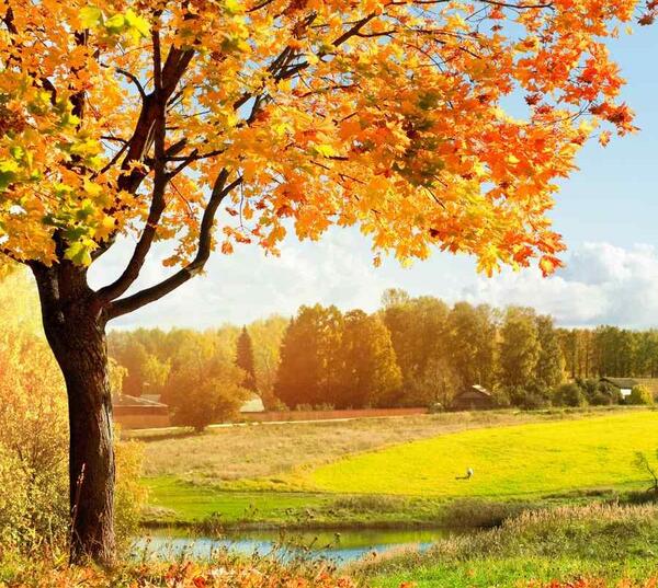 عکس پاییز صندلی