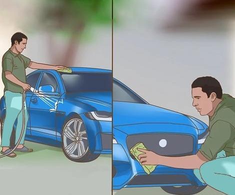 عکس شستن مرغ عشق