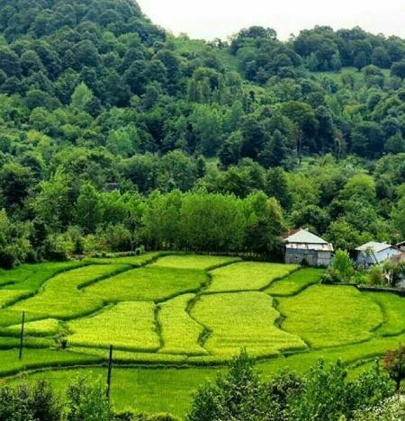 عکس دریای لاهیجان