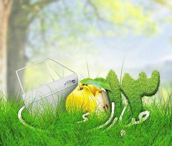 عکس پروفایل 13 بدر