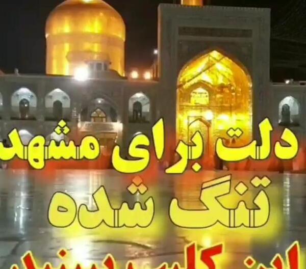 عکس حرم امام رضا در فیلم عنکبوت