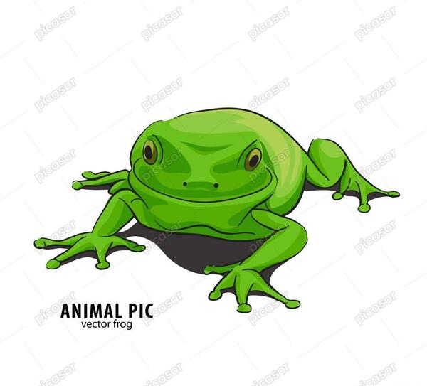 عکس قورباغه سبز