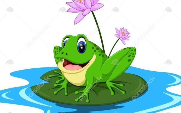عکس قورباغه سبز