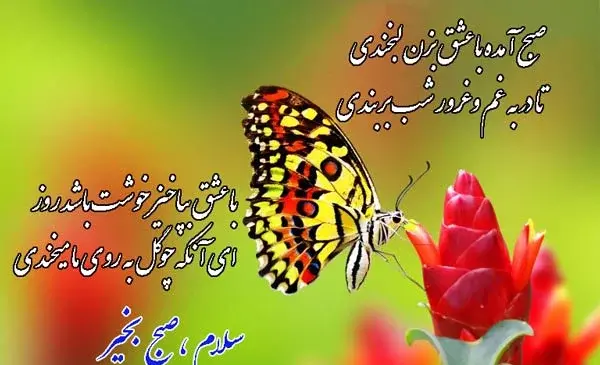 عکس نوشته صبح تابستانی بخیر