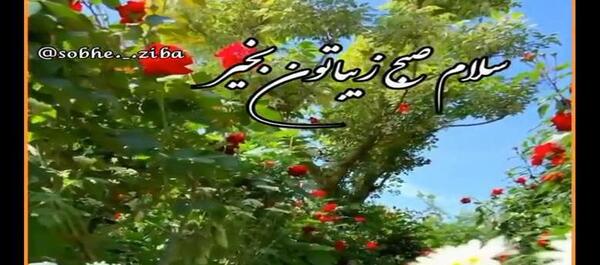 عکس نوشته صبح تابستانی بخیر