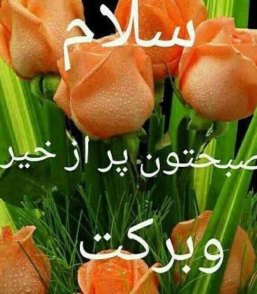 عکس نوشته صبح تابستانی بخیر