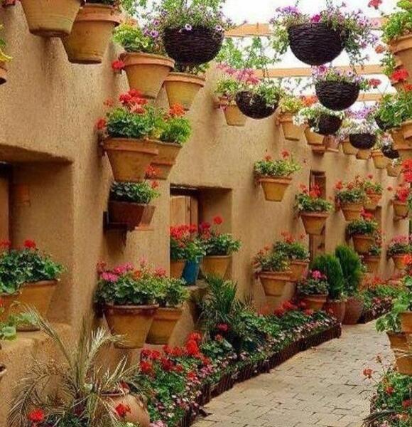 عکس نوشته صبح تابستانی بخیر