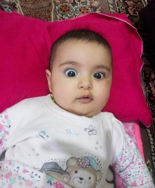 عکس جوجه تیغی ترسناک