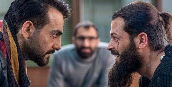 عکس جوجه تیغی ترسناک