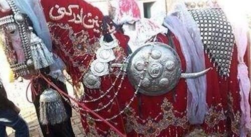 عکس ذوالجناح در روز عاشورا