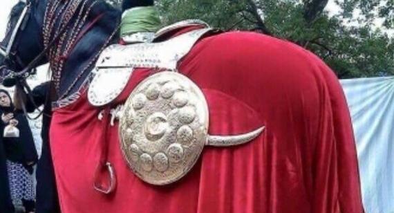 عکس ذوالجناح در روز عاشورا