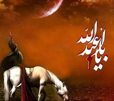 عکس ذوالجناح در روز عاشورا
