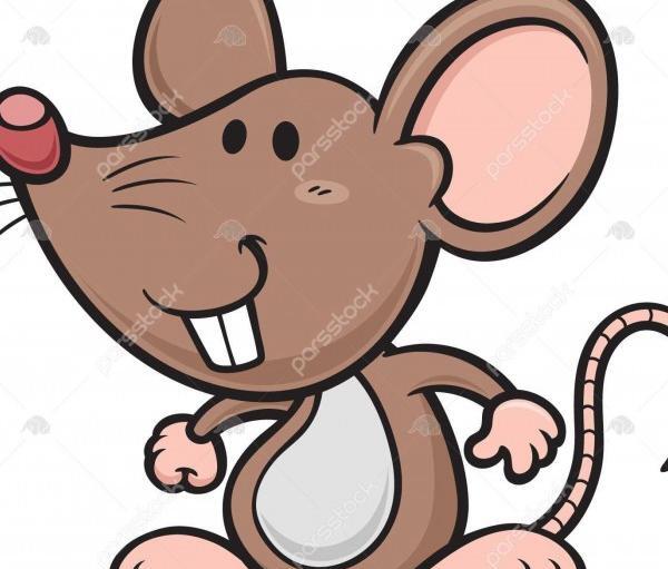 عکس موش جهنده