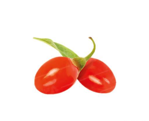 عکس لایه باز زرشک