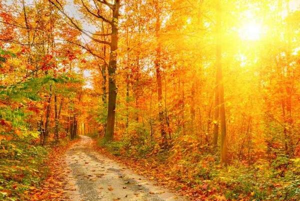 عکس نوشته طبیعت زیبای پاییزی