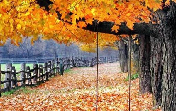 عکس نوشته طبیعت زیبای پاییزی