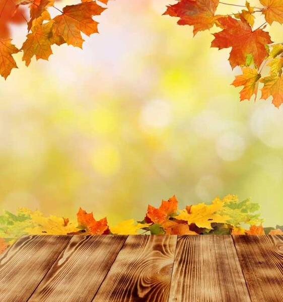 عکس نوشته طبیعت زیبای پاییزی