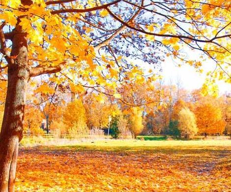 عکس نوشته طبیعت زیبای پاییزی