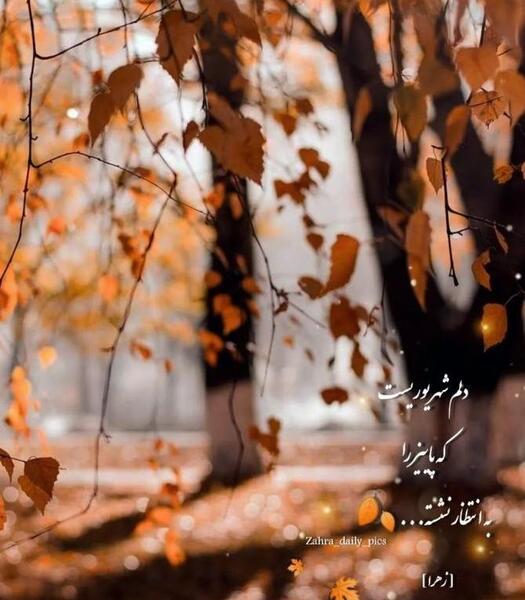 عکس دختر پاییزی غمگین