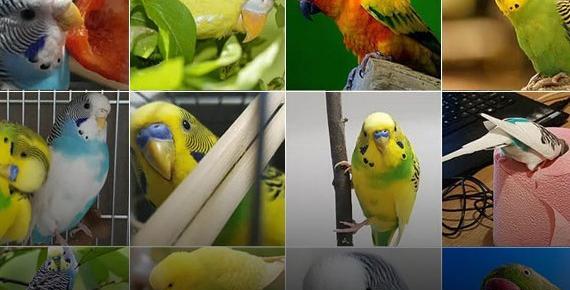 عکس رنگ مو جدید ۱۴۰۱