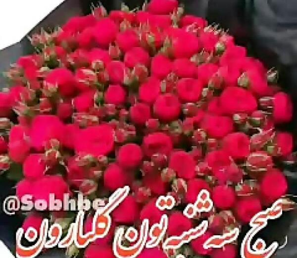 عکس ظهر بخیر روز شنبه