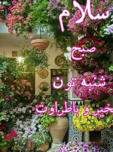عکس ظهر بخیر روز شنبه