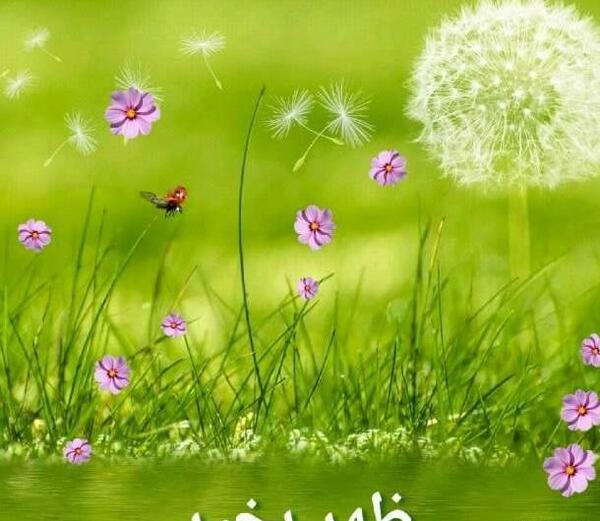 عکس برای ظهر بخیر گفتن