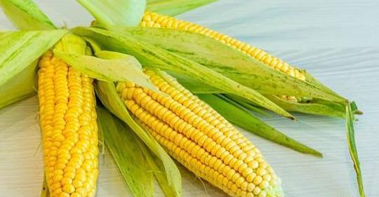 عکس ذهن برای تصویر زمینه
