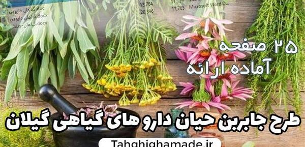 عکس در مورد گیاهان